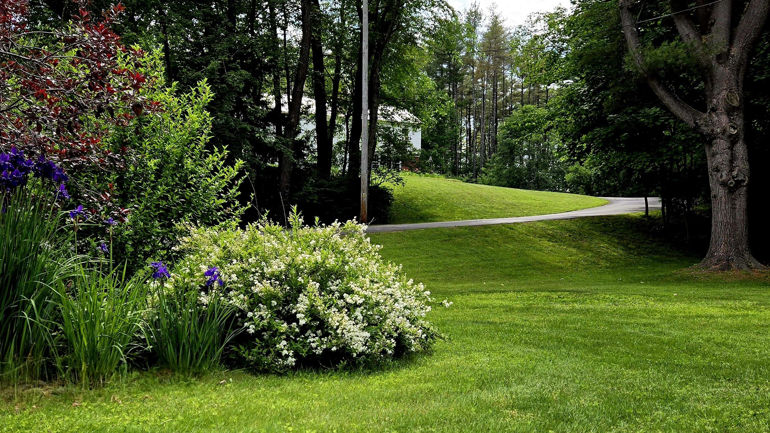 Beautiful garden landscape with lush green lawn and flowering plants